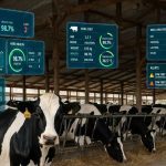 O “gêmeo digital” que pode mudar a gestão das fazendas leiteiras 🚜 O próximo avanço tecnológico da pecuária leiteira pode não estar em produzir mais dados, mas em usar os que já existem para antecipar resultados.