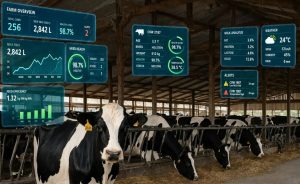 🚜 O próximo avanço tecnológico da pecuária leiteira pode não estar em produzir mais dados, mas em usar os que já existem para antecipar resultados.