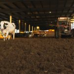 Rio Grande do Sul pode perder 94% dos produtores de leite O que está por trás da saída de milhares de famílias e por que algumas propriedades conseguem atrair a nova geração?