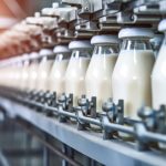 Argentina exporta recorde em lácteos e Brasil é o maior comprador 📊 Um recorde histórico nas exportações argentinas esconde um dado que interessa direto ao produtor e à indústria brasileira.