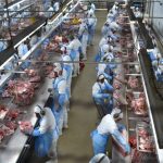 Dália Alimentos mira R$ 2,3 bilhões e muda estratégia de crescimento Dalia