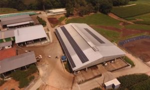 fazenda leite