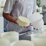 Ceará aposta em certificação para tirar queijo artesanal da informalidade 📈 Produção de leite cresce, tradição queijeira é forte, mas um detalhe ainda trava o avanço do queijo artesanal cearense.