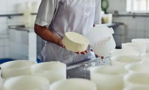 📈 Produção de leite cresce, tradição queijeira é forte, mas um detalhe ainda trava o avanço do queijo artesanal cearense.