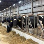 Fazenda Colorado bate teto de produção e mira expansão fora de Araras Colorado