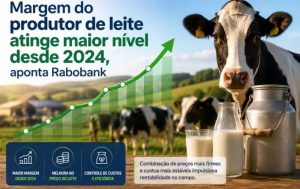 Apesar da melhora na rentabilidade, o setor ainda enfrenta um ambiente desafiador.
