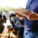 Nutrição de precisão: o novo padrão que a indústria láctea chinesa propõe láctea