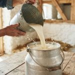 Aquisição de leite cai 16,6% no Acre enquanto produção nacional cresce aquisição