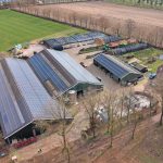 Fazenda leiteira cresce para 230 vacas sem ampliar a equipe 🚜 A propriedade ampliou sua produção sem transformar a contratação de funcionários na principal resposta ao crescimento. A estratégia tem outros pilares.