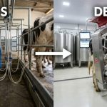 A mudança na gestão que levou uma fazenda de 120 a 1.200 litros Uma propriedade familiar no Extremo Sul da Bahia mudou sua forma de trabalhar e chegou a um resultado que surpreendeu até fora da porteira. 🚜