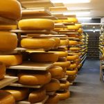 Menos vacas, mais leite: a engenharia por trás do boom americano leite