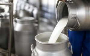 O número divulgado para outubro abre uma nova etapa para quem precisa planejar os próximos movimentos da cadeia.