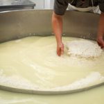 Sobra da produção do queijo é matéria prima do Whey e cria oportunidades para setor leiteiro o aproveitamento do soro na fabricação de whey representa uma alternativa para ampliar o valor econômico dos derivados lácteos.