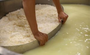 Na prática, a quantidade de whey disponível depende do volume de queijo fabricado.
