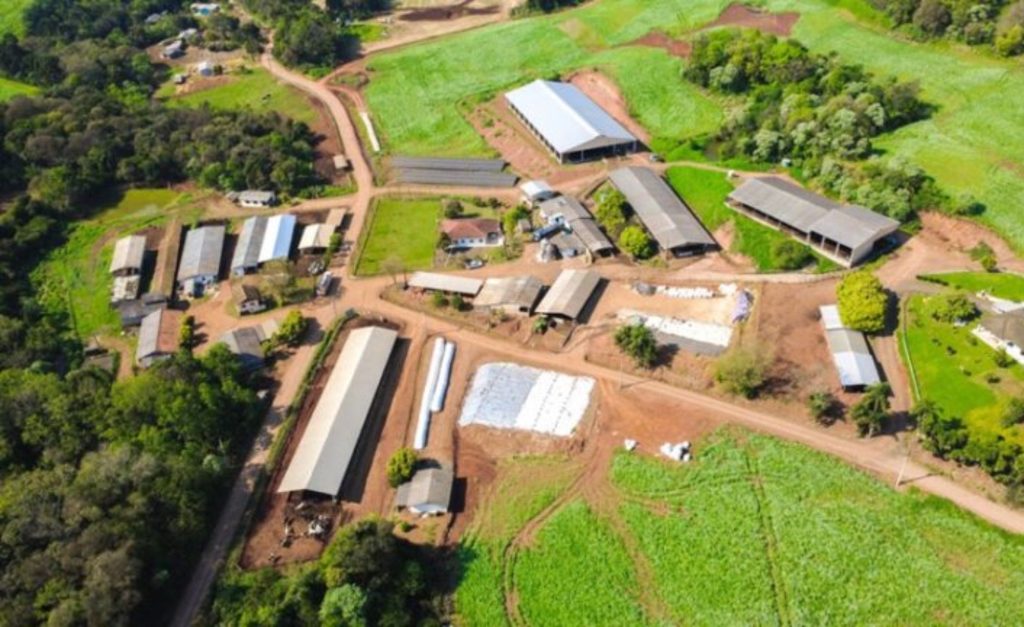 Tecnologia aproxima jovens da gestão da produção leiteira Tecnologia aproxima jovens da gestão da produção leiteira 2