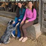 Mãe e filha fortalecem sucessão familiar na produção leiteira Flávia da Silva Tonello e Flor de Lis Tonello unem experiência e formação profissional para garantir a continuidade da atividade no campo.
