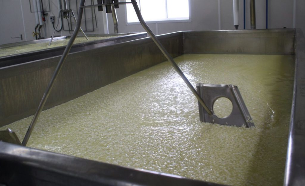 Coalhada de queijo boiando no soro durante a produção (imagem ilustrativa) Foto: U.S. Department of Agriculture / Wikimedia Commons (CC BY 2.0)