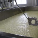 Soro salgado de queijo vira combustível em projeto universitário no Reino Unido Coalhada de queijo boiando no soro durante a produção (imagem ilustrativa) Foto: U.S. Department of Agriculture / Wikimedia Commons (CC BY 2.0)
