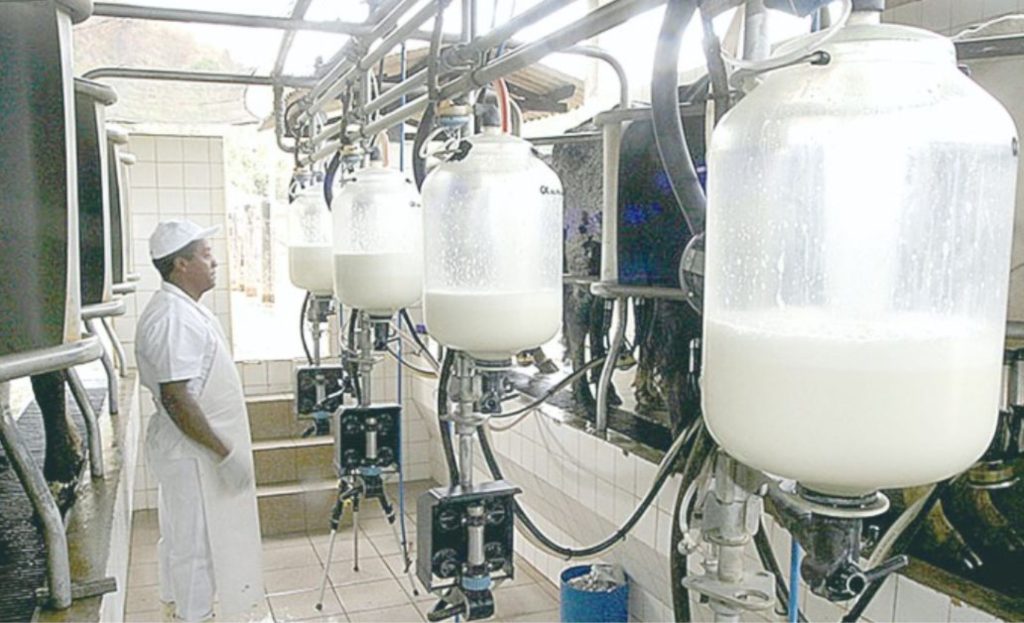 Minas Gerais respondeu por 21% do VBP de produtos da pecuária e aquicultura no Brasil em 2025 | Foto: Divulgação Embrapa