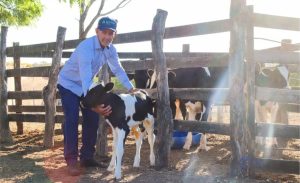 Fotos: Produtor parceiro Alvoar | Divulgação/Alvoar Lácteos