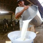 RN movimenta R$ 1,1 bilhão com produção de 440 milhões de litros de leite Com um crescimento de 11,6%, a produção de leite no RN movimentou mais de R$ 1,1 bilhão, destacando sua importância econômica | BNews RN - Divulgação Reprodução: Internet