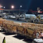 Brasil envia de avião 600 bovinos de genética leiteira para Botsuana genetica