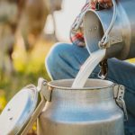 Pediatras dos EUA pedem proibição do leite cru e citam risco de H5N1 Mais de um século depois da pasteurização, uma entidade médica dos EUA volta a bater na mesma tecla, e agora há um motivo novo. 🧪