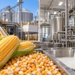 Castrolanda amplia investimentos em indústrias Programa de expansão industrial inclui fábrica de tortilhas e beneficiamento de leite
