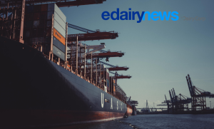 Global Dairy Trade sobe 1,2%: o que vem para o leite?